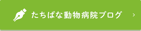 たちばな動物病院ブログ