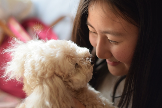 飼い主と犬