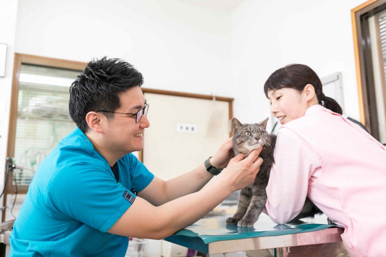 動物看護士と獣医師